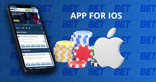 1xbet cam kết xử lý nhanh chóng