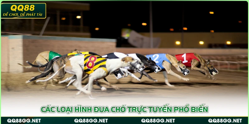 Các loại hình đua chó trực tuyến phổ biến